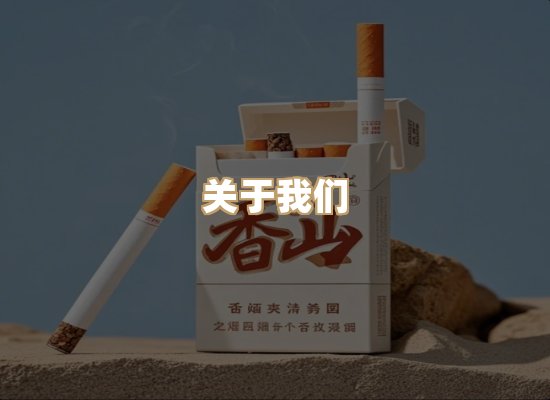 关于御龙烟网
